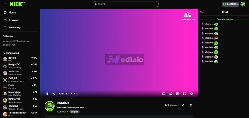 use selected background | Add a Background to a Music Performance on AI