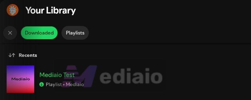 Offline Backup feature | Add and Switch Accounts on Spotify