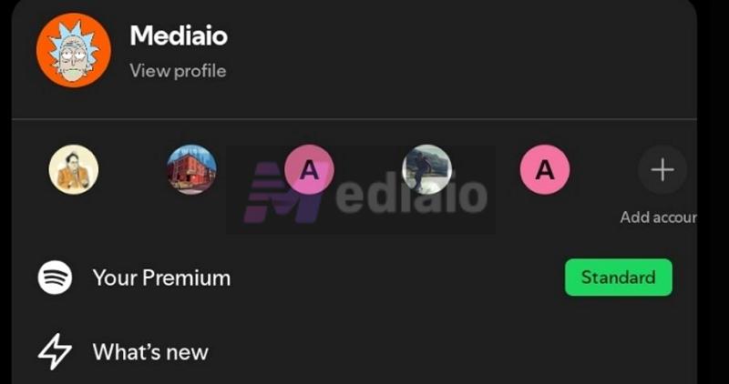 Add account option | Add and Switch Accounts on Spotify