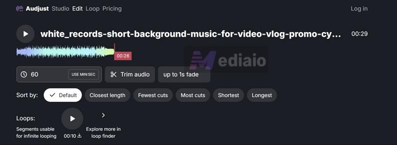 use loop options | AI Music Extenders