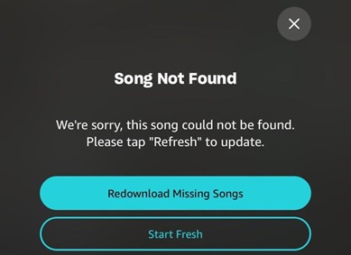 downloaded songs | amazon music not playing songs