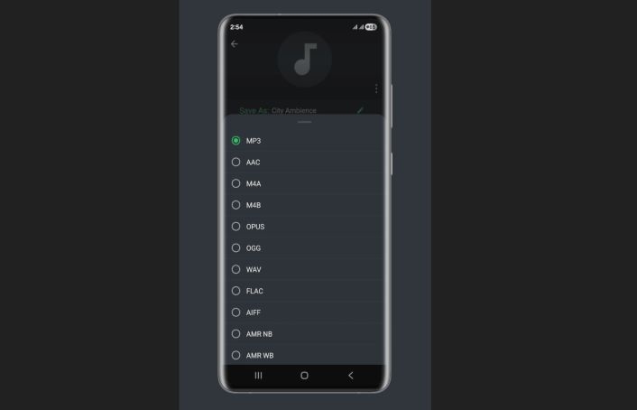basic controls BDroid | Lossless Audio Converters