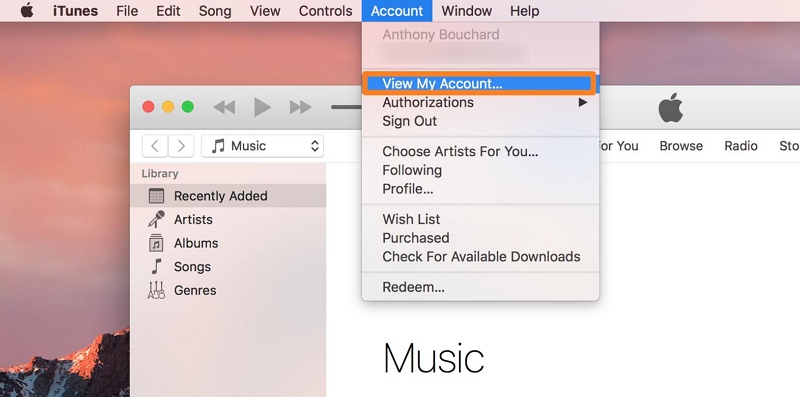 View My Account Windows | where did my apple music go