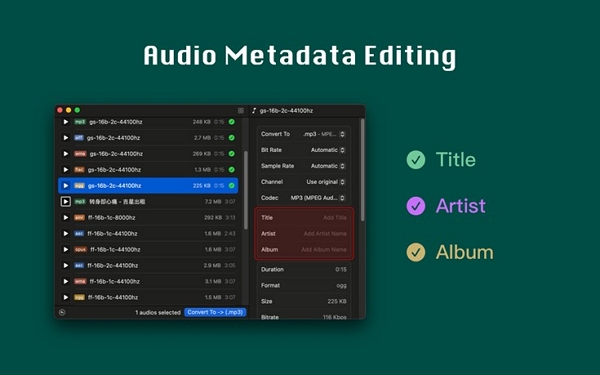 Audioer | audio converter for large files