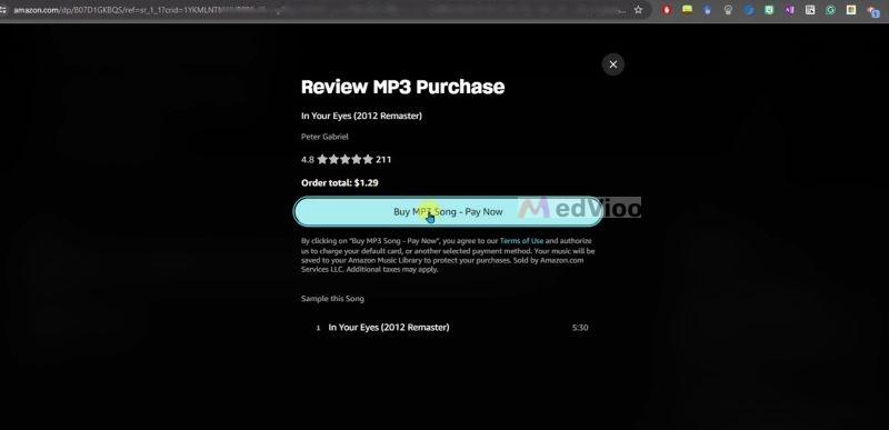 select Buy MP3 Song Pay Now | Burn CD from Spotify
