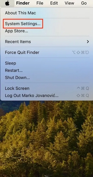System Settings | cancel apple music subscription
