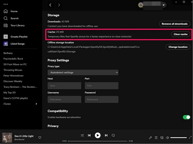see Storage | Why Is Spotify So Slow