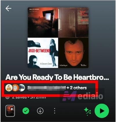 Collaborative Playlist | Why Does Spotify Add Songs to My Playlist