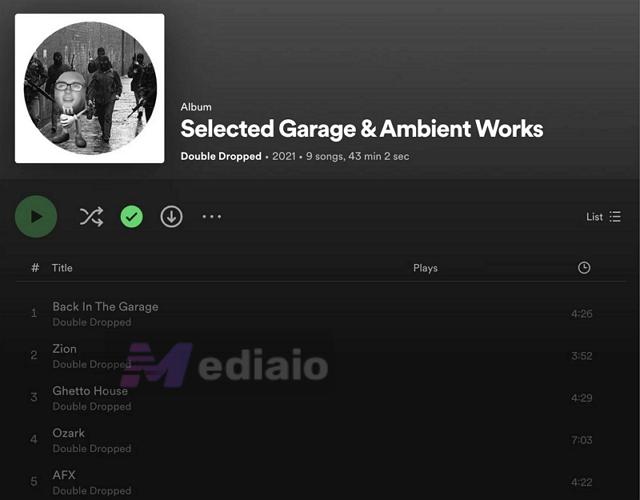 Show unplayable toggle | What Does the E Mean on Spotify