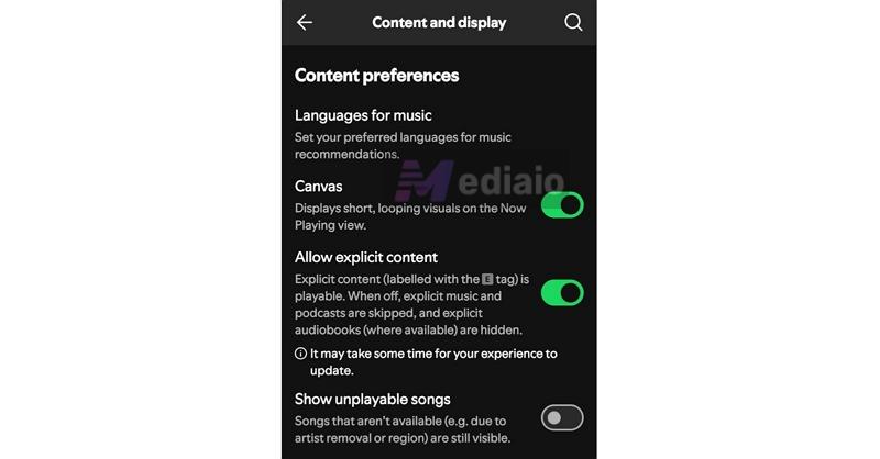 enable Show unplayable | What Does the E Mean on Spotify