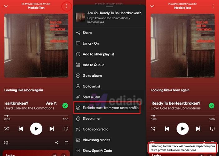 select Exclude track from your taste profile | What Does the E Mean on Spotify