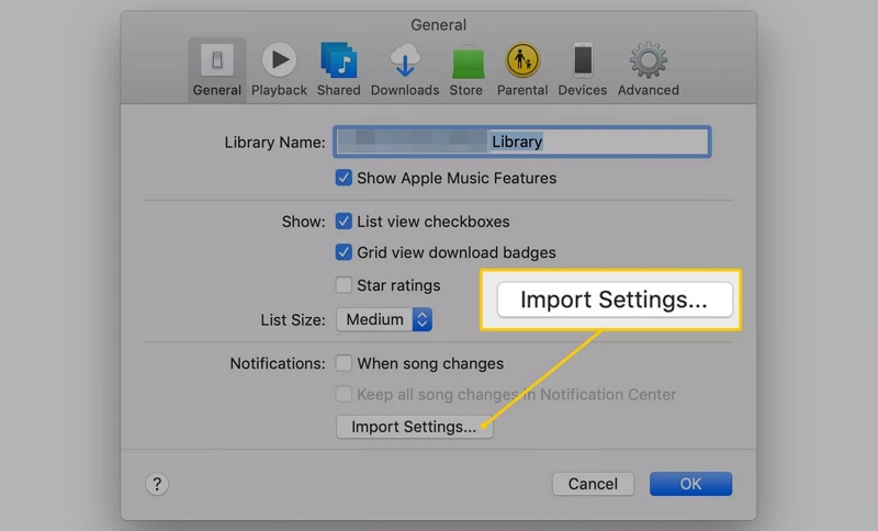 click Import Settings | Convert AAC to MP3