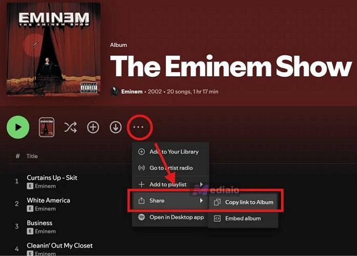 hit three-dot | Convert Spotify Playlist to MP3
