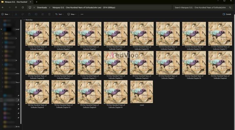 check audiobooks in Downloads folder | Play and Download Audiobooks from Spotify