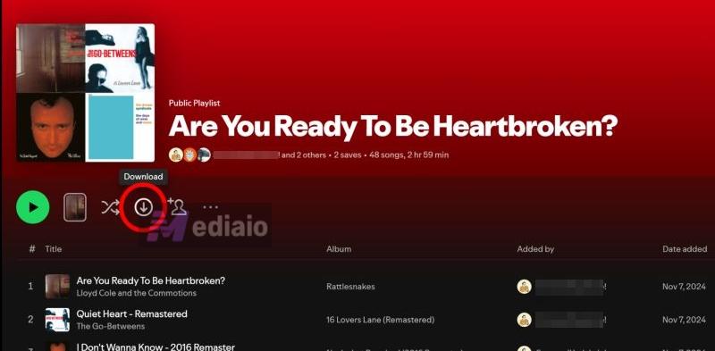 switch on Offline Mode | Make Your Playlist Collaborative on Spotify
