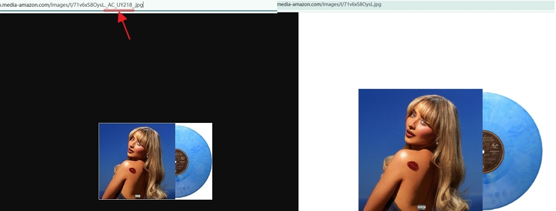 delete items from URL | Download Spotify Cover Art