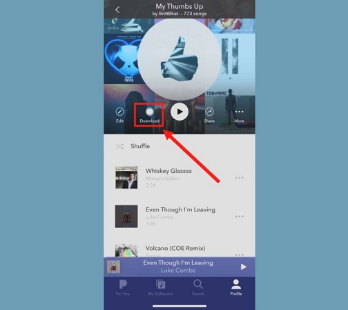 download Pandora playlists with app | Download Music from Pandora
