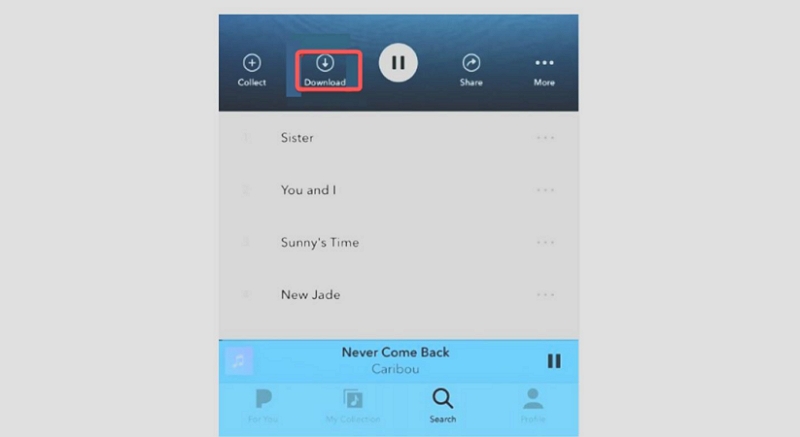 download Stations | Pandora Mod APK