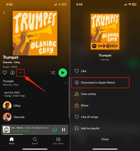 select Download to other devices | Download Spotify Songs on Apple Watch
