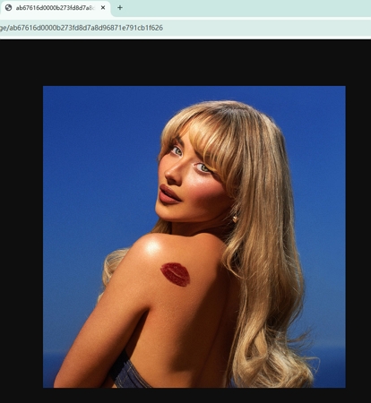 opened artwork | Download Spotify Cover Art