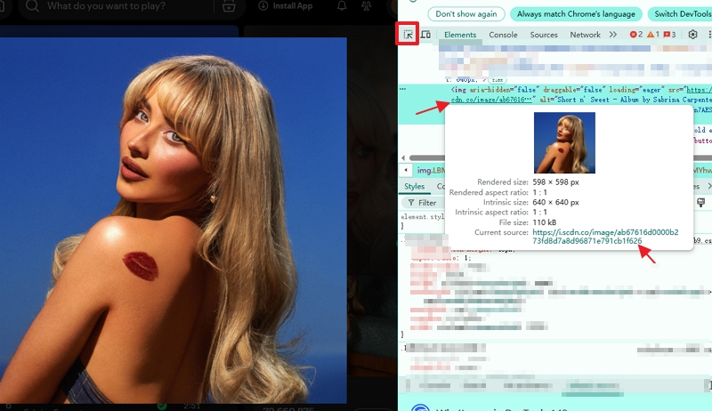 hover on image link | Download Spotify Cover Art