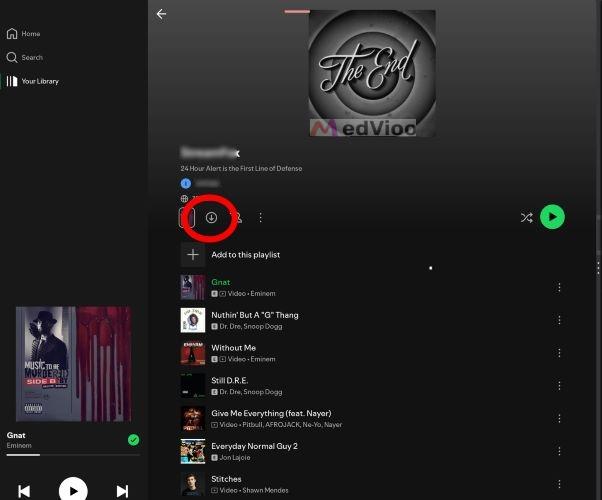 click Download icon | download Spotify Chromebook