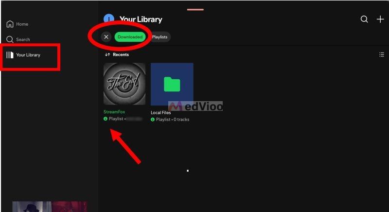 downloaded filter | download Spotify Chromebook