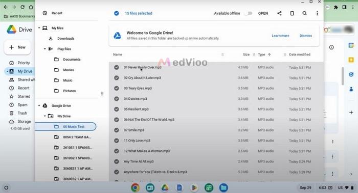 open My Drive | download Spotify Chromebook