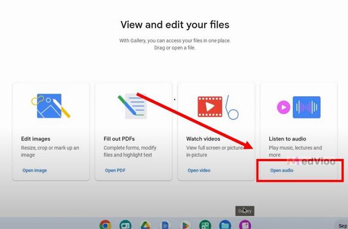 choose Listen to audio | download Spotify Chromebook
