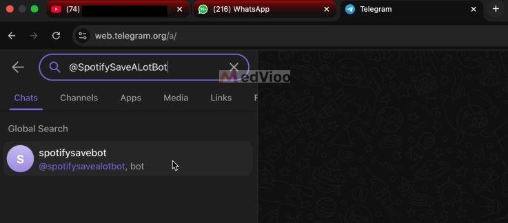 open SpotifySaveALotBot