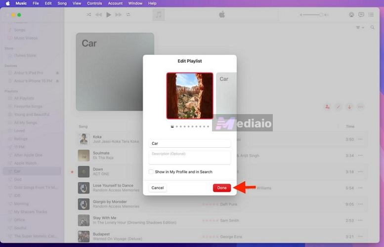 substitute artwork | Change Apple Music Playlist Covers