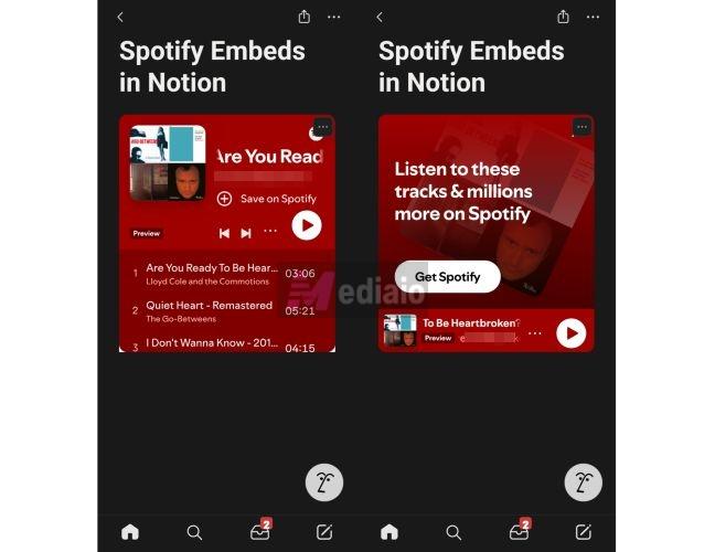 shown Spotify player | Embed Spotify in Notion