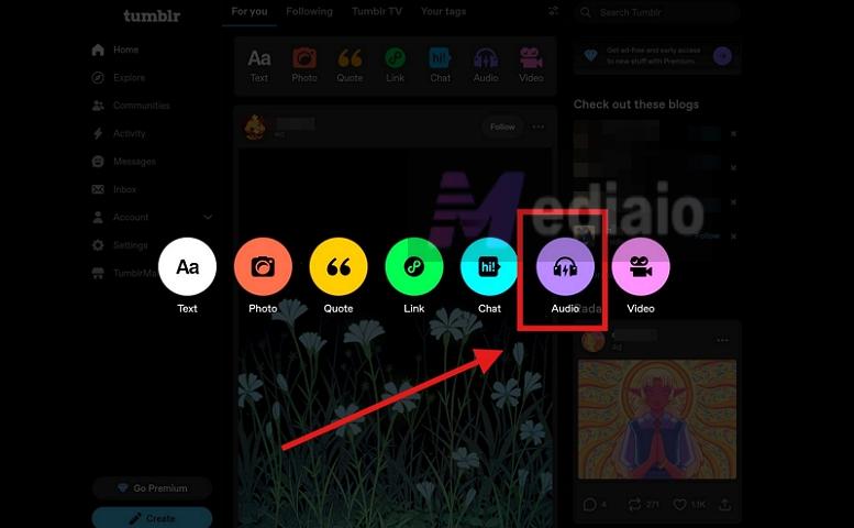 select Audio | Add Spotify Music to Tumblr