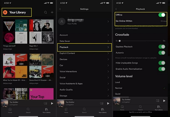 toggle on Offline | Download Spotify Music Without WiFi