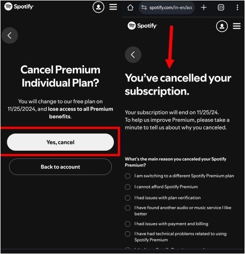 choose Yes, Cancel | Keep Spotify Downloads After Canceling Premium