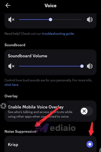 find Noise Suppression | Stop Discord from Pausing Spotify