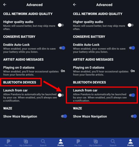 Launch from Car On | Pandora Not Working