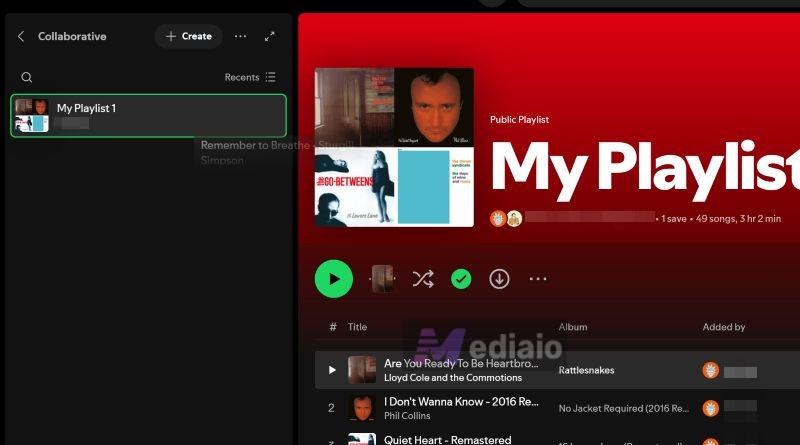 Listen to Own Playlist | Why Does Spotify Add Songs to My Playlist