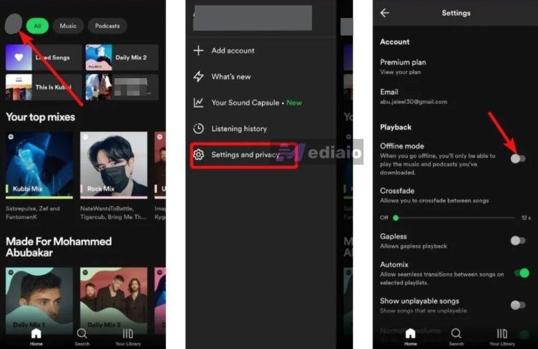 Go Offline | Why Does Spotify Add Songs to My Playlist