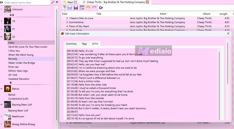 press Convert | Spotify Lyrics Not Showing
