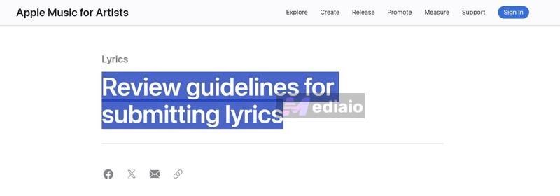 Apple Music lyrics | Spotify Lyrics Not Showing