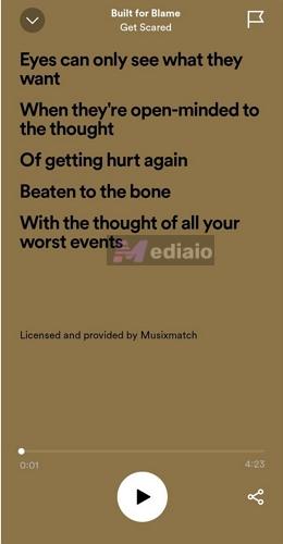 lyrics card | Spotify Lyrics Not Showing