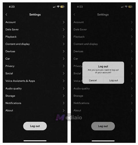 tap Log Out | Spotify Lyrics Not Showing
