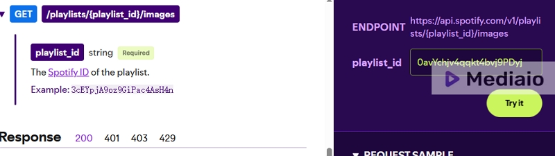 hit Try it | Download Spotify Cover Art