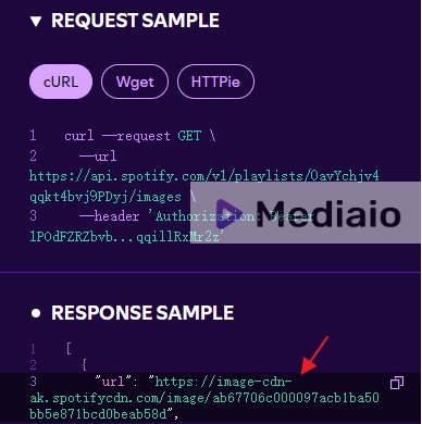 locate Response sample | Download Spotify Cover Art