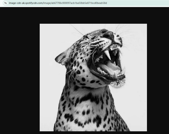hit Enter | Download Spotify Cover Art