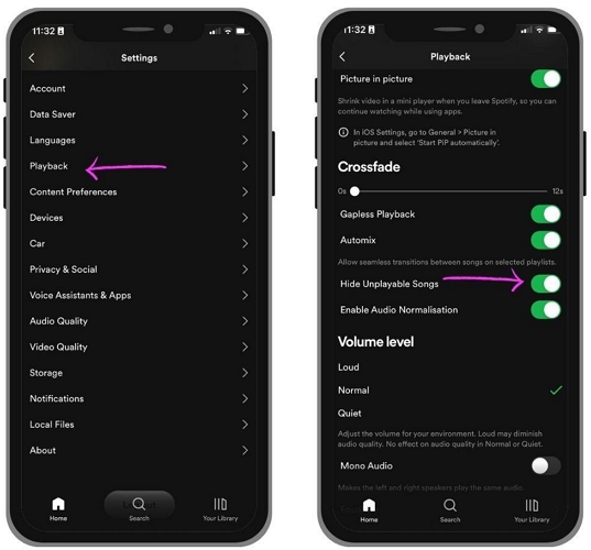 turn off Hide unplayable songs | Remove Songs from Spotify Playlists