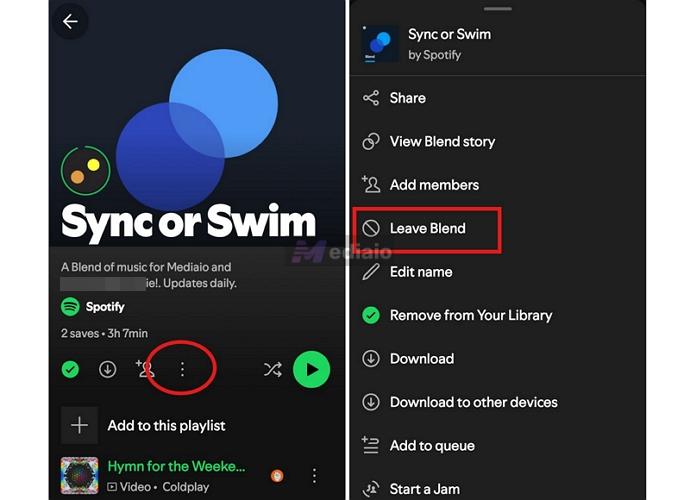 choose Leave Blend | How Does Spotify Blend Work