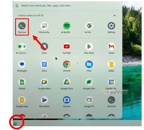 open Terminal | download Spotify Chromebook
