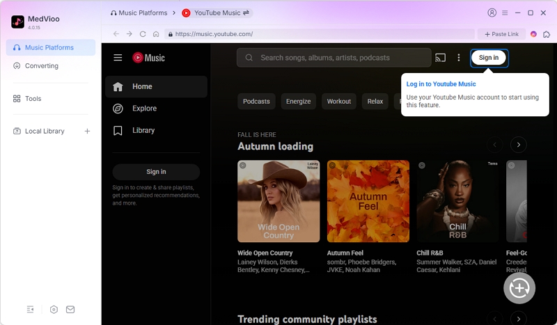 access YTMusic library | Rip Music from YouTube